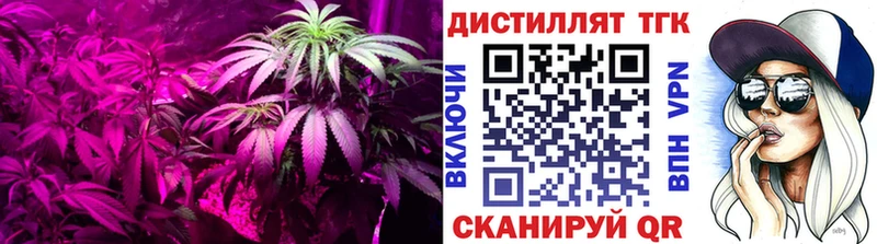 ОМГ ОМГ   Пермь  ТГК вейп 