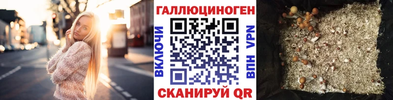 Псилоцибиновые грибы GOLDEN TEACHER  купить закладку  Пермь 